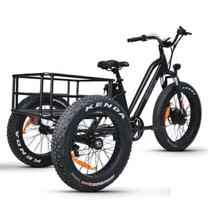 Groothandel Volwassenen 750W/500W 3 Wiel Auto Cargo Elektrische Chinese Elektrische Driewieler Fat Tire Elektrische Driewieler