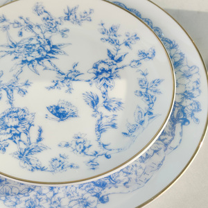 Juego de Vajilla de Porcelana China de 10 Piezas, Serie D Europea, Estrella de la Suerte - Product Image 5
