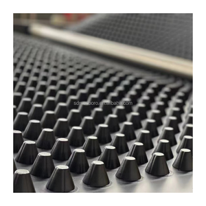 Planche à fossettes moderne en HDPE Planche de drainage de fondation en plastique imperméable pour parc extérieur en pente de toit <span class=keywords><strong>routier</strong></span> Autres applications - Product Image 3