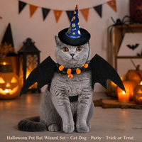 Conjunto de Disfraces de Halloween para Mascotas al por Mayor, Traje de Cosplay para Perros y Gatos, Sombrero de Bruja, Capa, Suministro Directo, Bajo MOQ