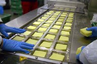 Automatische Lade Afdichting, Automatische Kaas Vacuüm Verpakkingsmachines, Kaas Vacuüm Thermovormen Verpakkingsmachine Stijf Voor Kaart