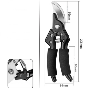 <span class=keywords><strong>Vendita</strong></span> calda strumenti a mano <span class=keywords><strong>da</strong></span> giardino in acciaio inox innesto cesoie <span class=keywords><strong>da</strong></span> potatura forbici <span class=keywords><strong>da</strong></span> giardino - Product Image 2