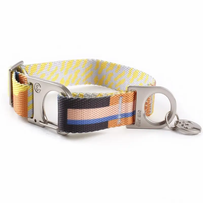 Collar de perro con estampado personalizado OEM 2024, Clip con logotipo láser, hebilla de Metal a la moda, Collar para perro mascota con etiqueta de accesorios de aleación de Zinc a la moda