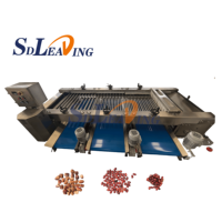 Industriële automatische machine voor het verwerken van dadels, inclusief wasmachine en sorteermachine voor het wegen en sorteren van Medjool dadels.