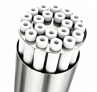 Boîtier de filtre à eau à cartouche de précision en acier inoxydable 304 ou 316L, 1m ~ 100m, réservoir sous pression 0,6-1,6 MPa, garantie 1 an