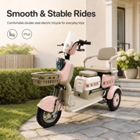 Tricycle électrique à trois roues neuf de marque 12 Tube, moteur différentiel 500W, 48V 60V, pneus standard pour l'exportation en gros