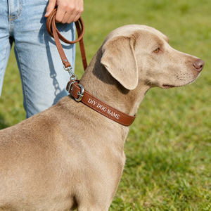Minimalist PU Leather <b>Dog</b> <b>Collar</b> Adjustable <b>Waterproof</b> Pet <b>Collar</b> for Daily Walking Custom Logo Available - Product Image 1