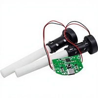 Module d'atomisation USB pour humidificateur d'air, double tête de pulvérisation, plaque d'atomisation à micro-trous de 16 mm, carte de commande, lumière d'ambiance DIY, Chine