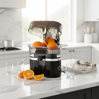 Anbo Kitchen Electric Kapasitas 120W untuk Penggunaan Rumah Tangga, 2 Kepala Blender Pemeras Buah Jeruk dengan Pisau Stainless Steel