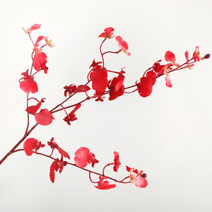 YOPIN-3677 réaliste artificiel 3 fourchettes <span class=keywords><strong>Oncidium</strong></span> Real Touch <span class=keywords><strong>orchidée</strong></span> dansante pour la décoration - Product Image 4