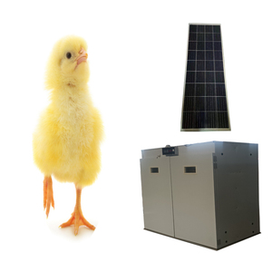 Incubadora Eléctrica para 528 Huevos, Incubadora Pequeña para Huevos de Gallina en Venta - Product Image 4