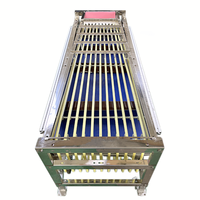 Kersenverpakkingsmachine Mais Lychee Tomaten Bonen Olijf Kleur Kleine Vibrerende Sorteerder KHPJ-5J Model Fruitverwerkingsinstallatie Laag