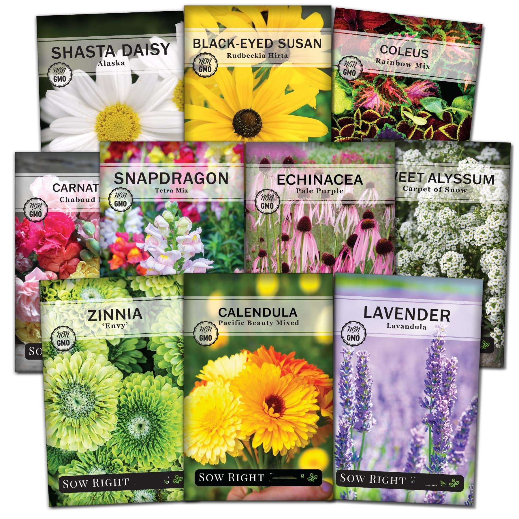 สีเขียวอ่อน