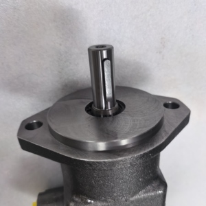 มอเตอร์ F11-006/010 F11-010-RB-CV-K-000 มอเตอร์แบบเคลื่อนที่คงที่ F11-010-SB-CV-K-000 F11 F11-010-MB-SH-K-000 - Product Image 4