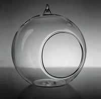 Vase Globe en verre suspendu en forme de boule, Terrarium de plante pour ornement de maison, vente en gros, Mh-bl020
