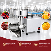 Commerciële fruitpulper-sapcentrifuge met elektrische zuivere koperen motor, machine voor het maken van jam voor de horeca, commerciële kwaliteit