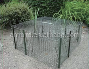 Cage pliable pour raisin d'oiseaux, piège à plusieurs poissons - Product Image 6