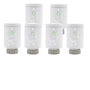 ZigBee3.0 — Valve de radiateur, thermostat intelligent, contrôleur de température, commande vocale, système de chauffage, pour maison connectée, Alexa