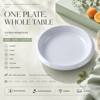 Assiette de pique-nique en mélamine sans BPA, bord large, résistante aux chutes et aux bris, vente en gros OEM ODM
