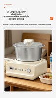 Mélangeur à pâte électrique multifonctionnel 5L en acier inoxydable 6 vitesses avec fonction de fermentation pour boulangerie artisanale, pain, pizza, raviolis