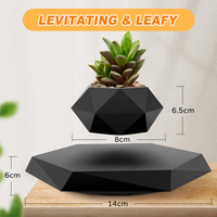 Mag Levitating Plant Pot Maceta giratoria negra Soporte flotante para suculentas Plantas pequeñas para el hogar Sala de estar Escritorio de oficina
