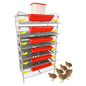 Nuova Area di Allevamento Compatta a 6 Livelli Tipo H per Quaglie, per una Produzione Efficiente di Carne e Uova, Dotata di Mangiatoie Integrate - Product Image 6