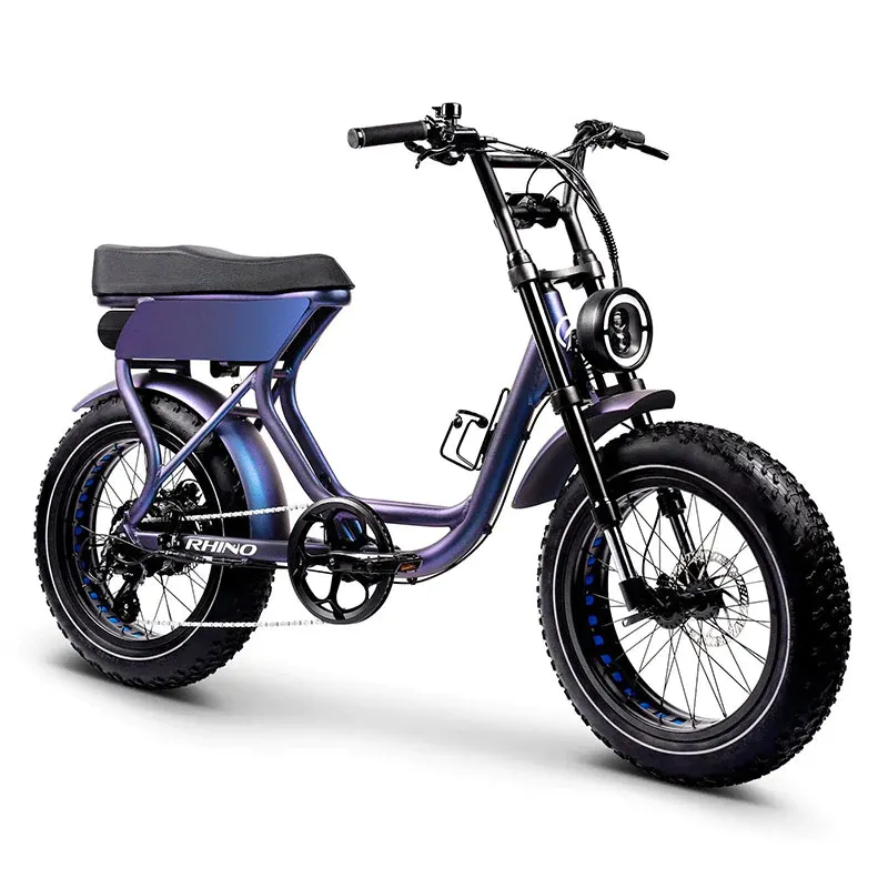 2024 nuovo stile bicicletta elettrica adulti elettrica Fat tyre Bike 20 pollici 750W Mountain Dirt Hybrid City Bike elettrica da strada