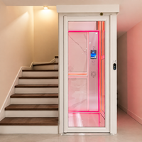 Ascenseur domestique moderne populaire et abordable, prix usine, 400 kg, 2-6 étages, faible bruit, pour villa, avec panneau arrière décoratif éclairé par LED
