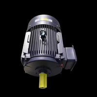 Moteur asynchrone triphasé à faible bruit et haute efficacité Daoyu YE3 YVF2-L 30 kW 40 CV 1500 tr/min, cuivre pur, boîtier en fonte