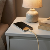 Câble de données portable personnalisé populaire, tressé en TPE moulé, écologique, à charge rapide 3A Type C, certifié MFi, pour ordinateur, appareil photo et écouteurs