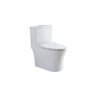 2024 Antibacterial Without Water Pressure Restriction Wc Piss Suppliers Commode Custom Paper Toilet