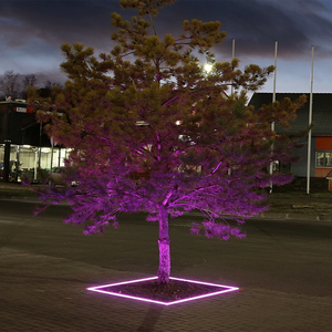 Lumière linéaire LED encastrée à haute luminosité, IP67 étanche, DMX RGB, acier inoxydable, DC24V, lampe de sol pour aménagement paysager de jardin - Product Image 2