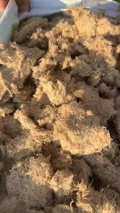 HC Mulch Fiber Tech Spray Wood Fiber Hydroseeding Eco Seed Spray Pro Fiber <strong>for</strong> Slope &amp; River Bank Soil Erosion Prevention - Product Image 6