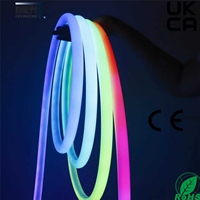 Tube LED en cuivre programmable et adressable sur mesure de 12 mm, bande lumineuse flexible en silicone néon, DC24V, IP67, étanche, Epistar, commande vocale