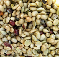 Machine à éplucher et à dégommer les fruits de café au prix d'usine, machine à retirer la pulpe des grains de café