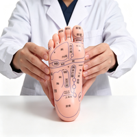 Modelo Anatómico de Puntos de Acupuntura del Pie HZMIM HZ para el Aprendizaje de la Medicina Tradicional China, Cuerpo Humano, CE/ISO