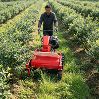Tondeuse à fléaux sur chenilles de 860 mm, moteur thermique 15 CV, démarreur électrique, 69 lames en Y, débroussailleuse
