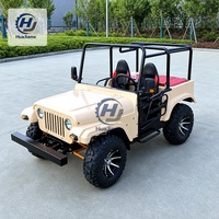 Buggy à essence 250CC avec pare-brise transparent et grandes roues pour la conduite sur les sites de glamping