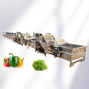 Máquina Automática para el Procesamiento de Frutas, Equipo de Línea de Limpieza, Secado y Clasificación, Máquina de Lavado de Vegetales con Burbujas de Aire - Product Image 6