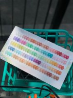 PRETTY PENNY 2026 Nouveau Kit de Gel à Ongles Multicolore Effet Gelée 40 Couleurs Haute Qualité Non Toxique Gel UV pour Salon Vente en Gros ODM/OEM