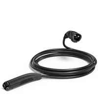 Câble de recharge EV étendu avec connecteur NACS, matériau TPU, 5 mètres/longueur personnalisable pour une utilisation domestique flexible