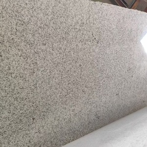 Granito Platino Americano - Losas y Azulejos Blancos Pulidos Naturales Modernos para Revestimiento de Paredes Exteriores y Pavimentación de Suelos, Garantía de 5 Años - Product Image 3