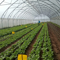 Serre agricole personnalisée à meilleur prix d'usine Serre en dents de scie en acier galvanisé à chaud de qualité supérieure pour la zone tropicale