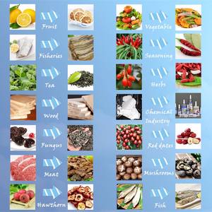 Séchoir industriel à Tunnel à micro-ondes, meilleur prix, déshydrateur, four de séchage, chauffage au gaz, économie d'énergie, moteur 10KW-200KW 30-50 jours - Product Image 6