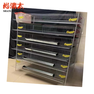 Commercio all'ingrosso nuovo stato H-tipo gabbie di quaglia uso domestico uccello di produzione di uova di materiale plastico <span class=keywords><strong>per</strong></span> gabbie <span class=keywords><strong>per</strong></span> animali da allevamento di polli - Product Image 4