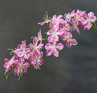 Vigne de jasmin artificielle réaliste en plastique, faite à la main, longue durée, pour décoration florale suspendue au plafond pour la maison