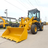 Nouvelle mini-chargeuse-pelleteuse diesel CE EPA, tracteur agricole, chargeuse-pelleteuse, excavatrice, chargeuse 4x4