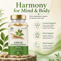 Extrait de racine d'Ashwagandha KSM-66 600 mg 5% Withanolides 60 capsules végétales Sans OGM Sans gluten Complément alimentaire pour le stress et le sommeil