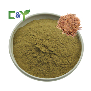 Polvere Pura Naturale 10:1 di <span class=keywords><strong>Tabebuia</strong></span> Impetiginosa, Estratto in Polvere di Pau D'arco, Estratto di <span class=keywords><strong>Tabebuia</strong></span> Impetiginosa per Alimenti - Product Image 2
