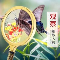 New 10x Foldable Handheld Magnifier Mini Pocket Microscope Reading Magnifying Glass Lens Jewelry Loupe